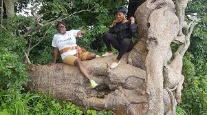 Ado Awaye Mountains and Suspended Lakes